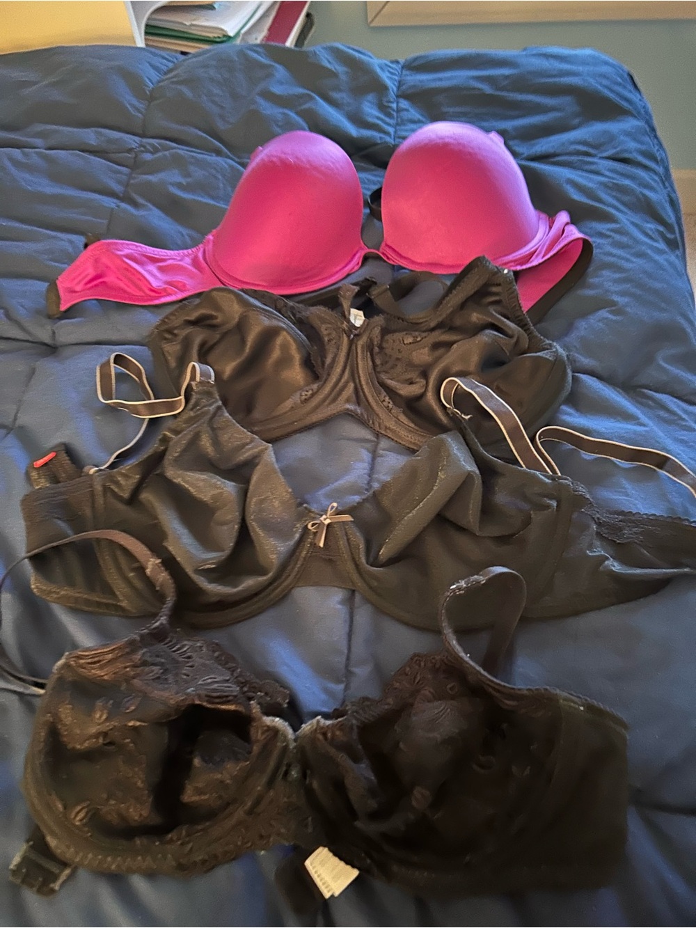 Mixed Pack of Pink and Black Women's Bras - Padded and Lace Styles